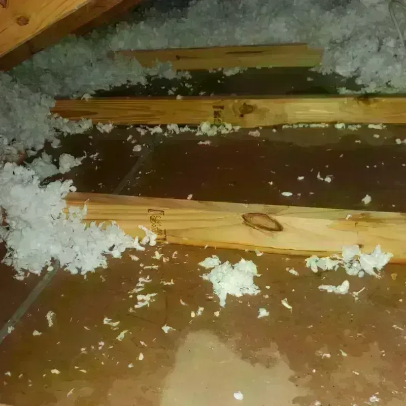 Attic Water Damage in Lake Luzerne, NY