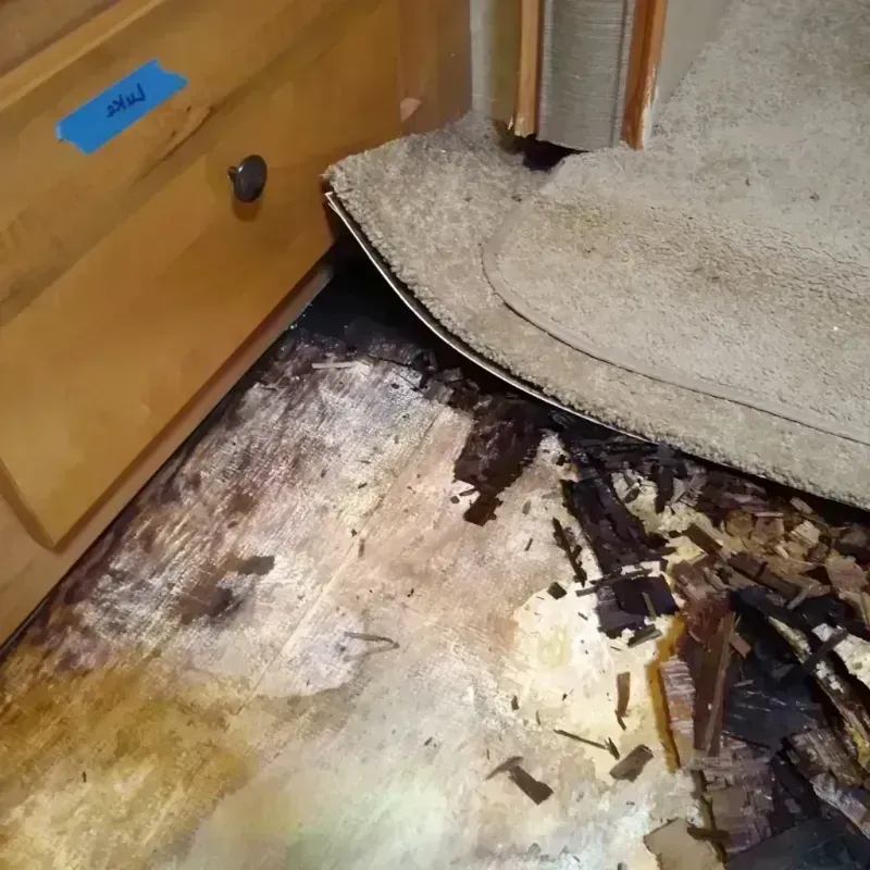 Best Wood Floor Water Damage Service in Lake Luzerne, NY